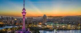 街机六狮森林舞会-街机六狮森林舞会，一场梦幻与冒险的交织