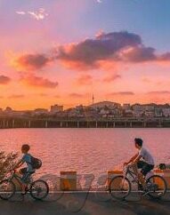 森林舞会 苹果版-森林舞会，苹果版中的自然与娱乐融合