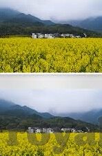 足球比分专家免费分析-解锁足球比分预测新境界，足球比分专家免费分析指南